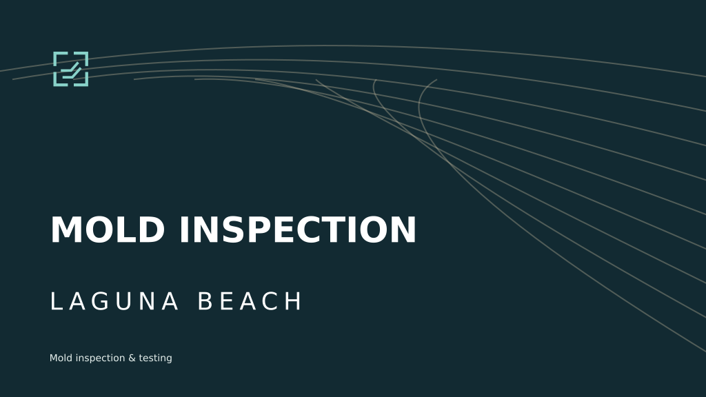 Mold Inspection Laguna Beach brand artwork on a dark teal background